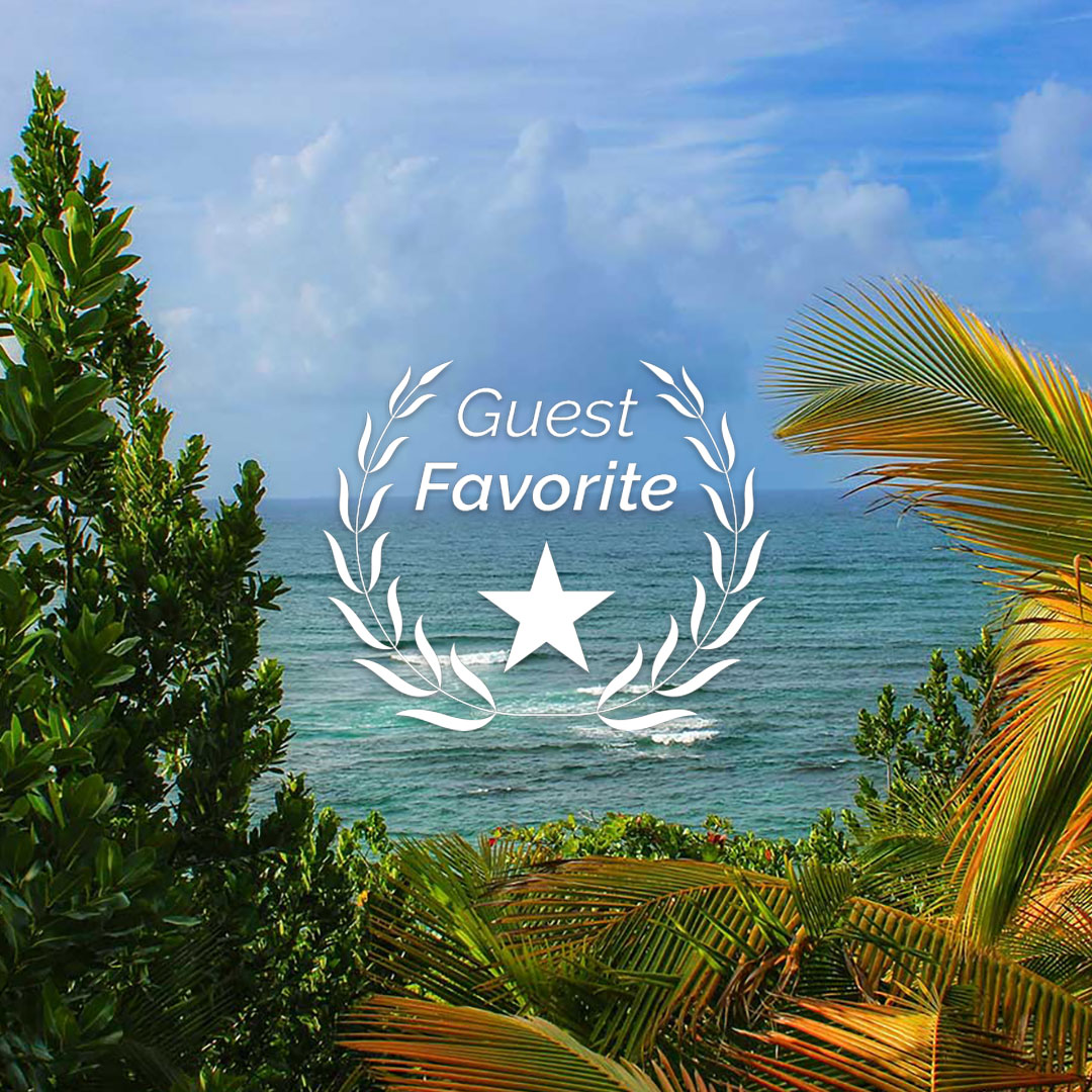Ocean view framed by tropical plants with a “Guest Favorite” badge, illustrating Airbnb trust, positive reviews, and strong host credibility in Puerto Rico.